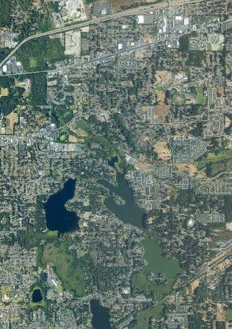 Southeast Lacey, Washington, August 16, 2023