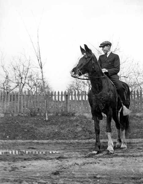 Unidentified young man on a horse at 108th Avenue N.E., Bellevue, Washington, ca. 1905