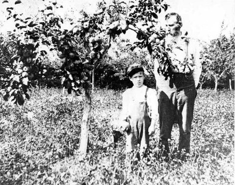 Unidentified man and boy standing in the orchard of the Warren family farm, Bellevue, Washington, ca. 1905