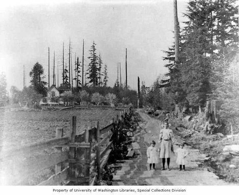 Rudy, Tom and Andy Sharpe standing on a rural road leading to a farmhouse, Bellevue, Washington, 1907