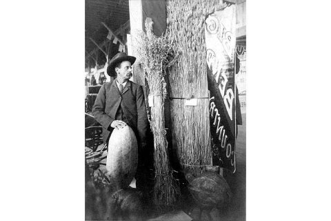 Agricultural display, Spokane Falls, Washington, 1890