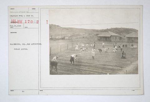Food Administration - Education - Walsenburg, Colorado. War activities. School garden