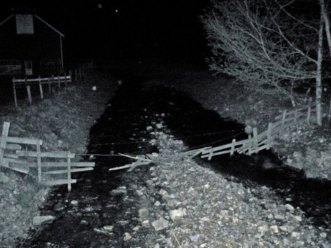 Creek in
