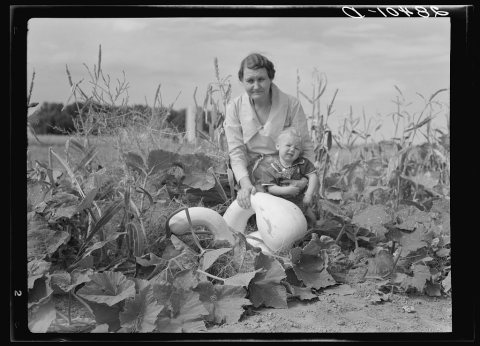 Untitled photo, possibly related to: Mrs. Calvin Brown, wife of FSA (Farm Security Administration) borrower, with grand…