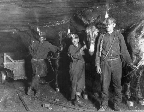 Child coal miners (1908) crop