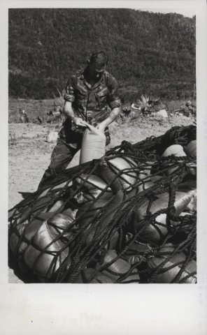 Marines Examine an Enemy Rice Cache, 1969