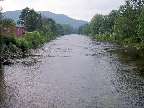 Shavers Fork