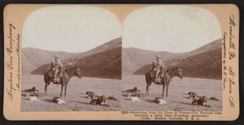 Returning from the chase at sunset - the wearied dogs welcome a brief halt - President Roosevelt's guide