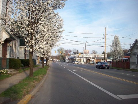 Untitled photo
