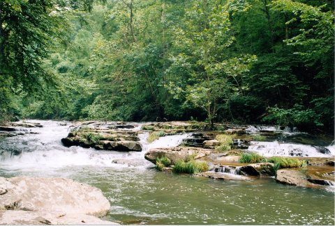 Mill Creek WV