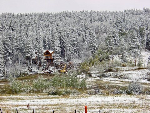 Silverthorne