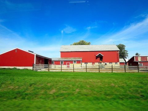 Barns on Highway 33