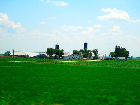 Dairy Farm near