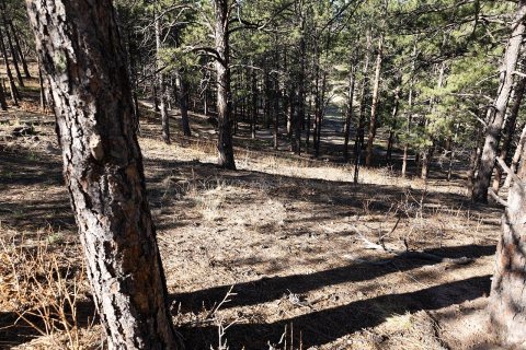 2024-04-25 Monument Colorado - 001