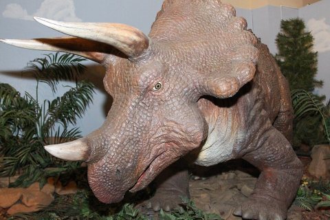 Dinosaur Diamond Prehistoric Highway - Triceratops at the Dinosaur Journey Museum