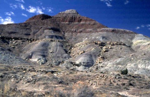 Dinosaur Diamond Prehistoric Highway - Fruita Paleo Area