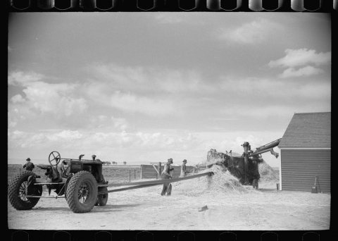 Threshing grain, San Luis Valley Farms