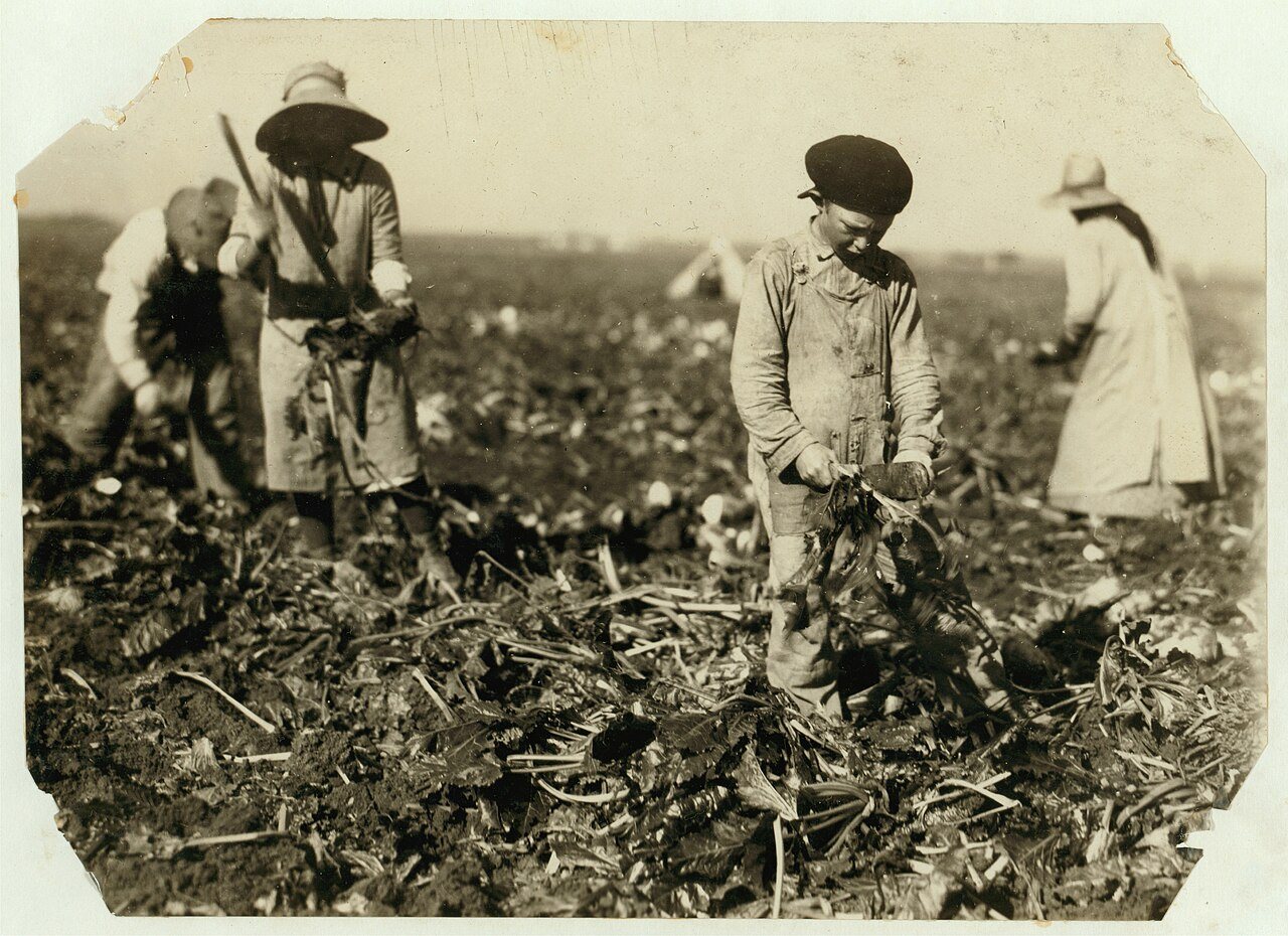 Jake is ten yrs old, Marie is 13, but neither could spell own name. Scheler family, near Sterling. The boy said he had …