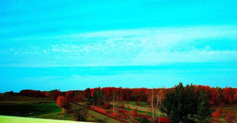 CN railroad Tracks