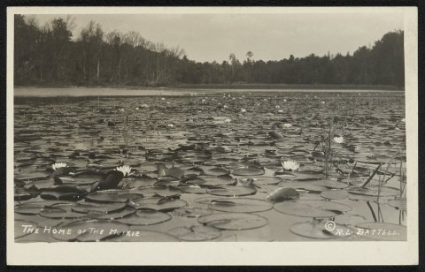 The home of the Muskie