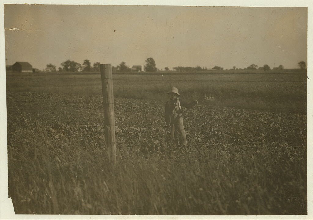 Henry Kaiser, twelve-year old beet worker from Potter, Wisconsin, working on farm near Chilton. See Hine Report, Wiscon…