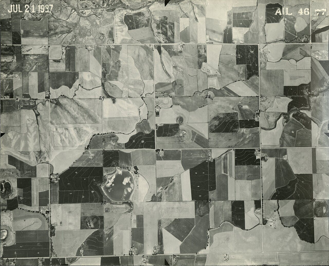 AIL 46-77 - DPLA - 3c5d606f3dcdf592642dda63a5cb333a