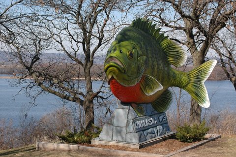 Great River Road - Big Fish Greeting