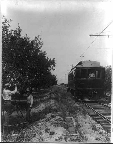 Gathering apples on the interurban