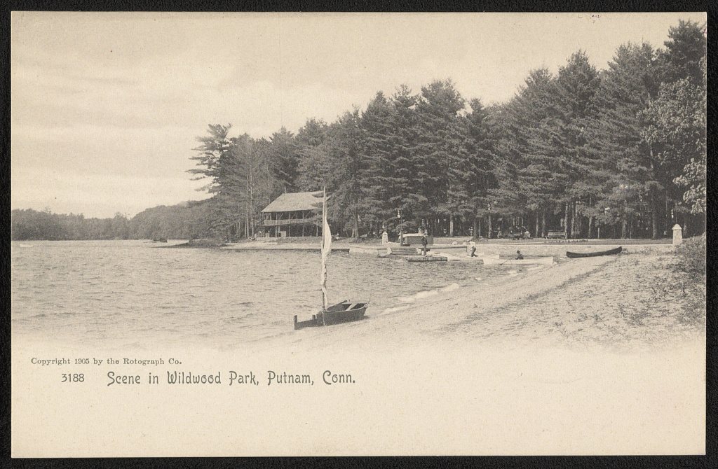 Scene in Wildwood Park
