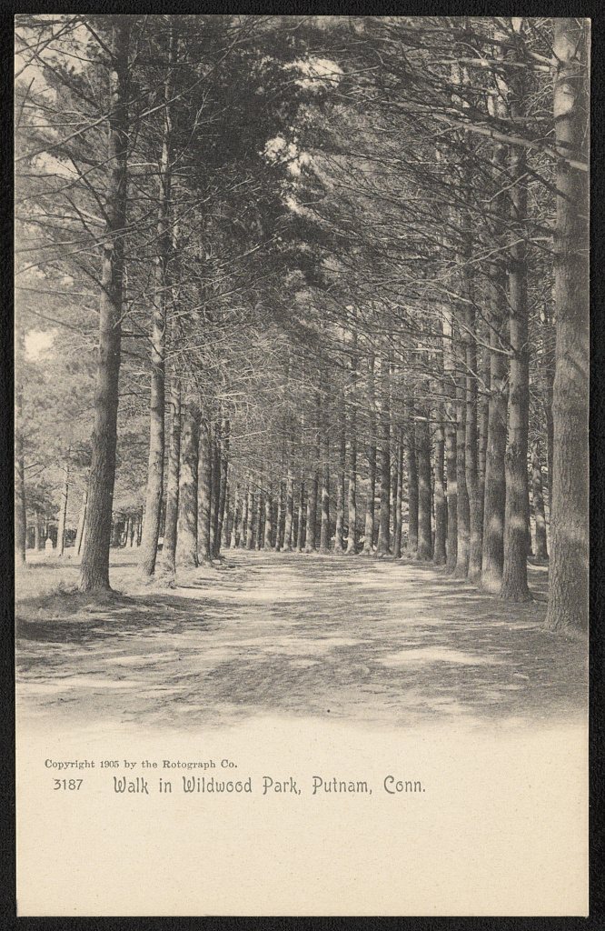 Walk in Wildwood Park