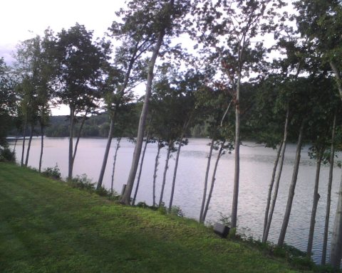 Looking Out from Waters Edge