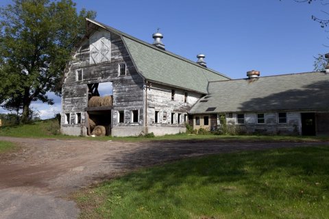 Barn scene in Suffield, Connecticut