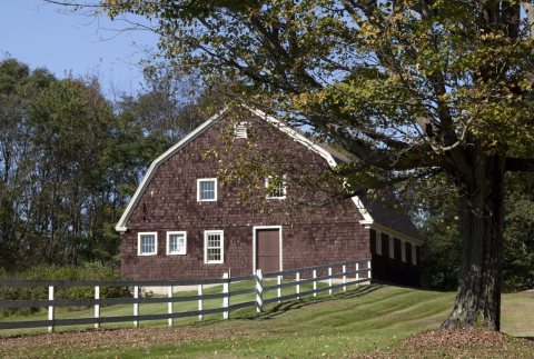 Barn scene in