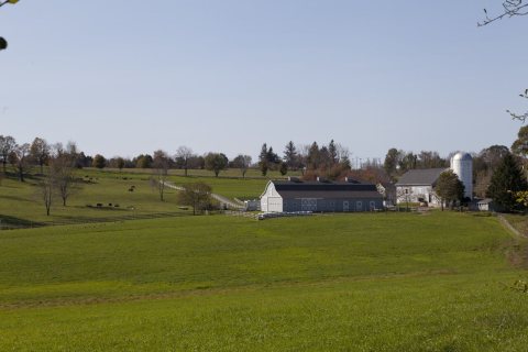 Long Ridge Farm