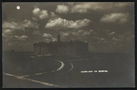Moonlight on campus