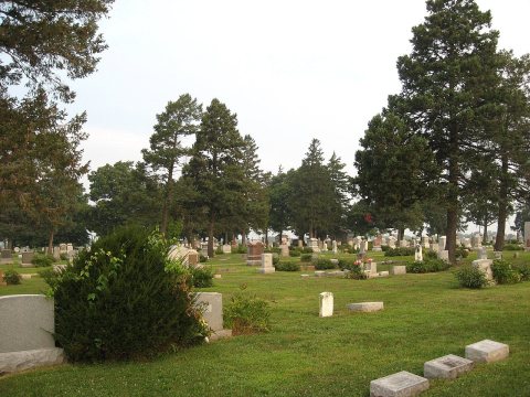 Arcola Township Cemetery, looking northwest, August 2009