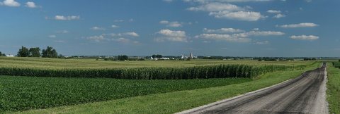 Corn fields near Royal, Illinois (cropped)