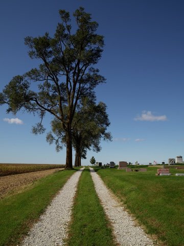 Lane past a country cemetery and cornfields outside Annawan, Illinois