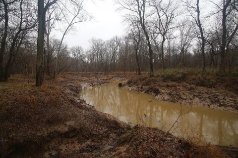 Drury Creek