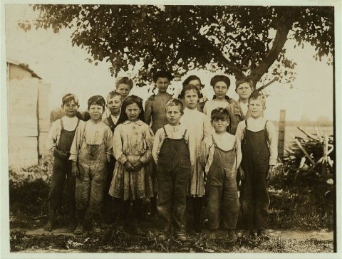 A group of berry pickers at Newton's Farm