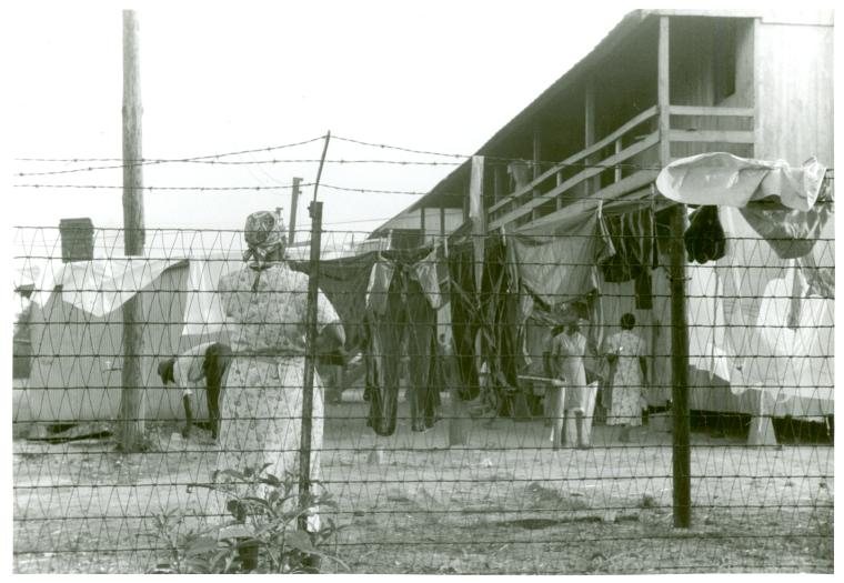 The barbed-wire enclosed camp for migratory workers at the Cannon Company of