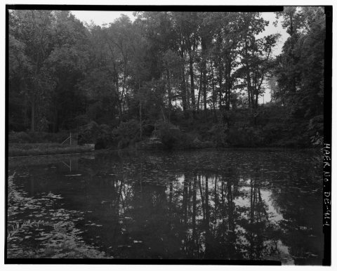 ENVIRONMENTAL VIEW OF SOUTHEAST PORTION OF LOWER POND AND SPILLWAY, LOOKING SOUTH - Whitman Estate, Lower Pond Spillway…