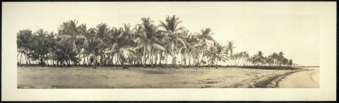 Florida East Coast Hotel Co., Long Key Fishing Camp, Long Key, Fla., L. P. Schutt, Mgr