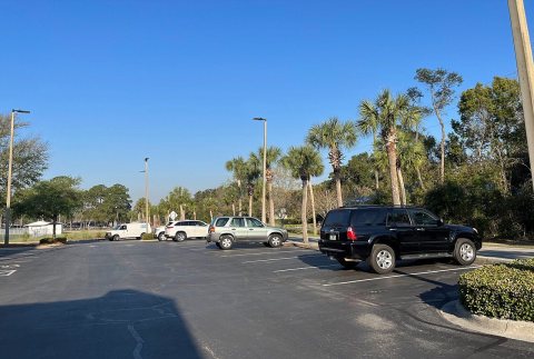 Shalimar, Florida palm trees March 16, 2023