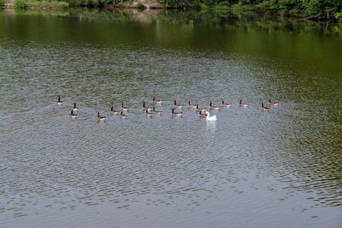 Lake