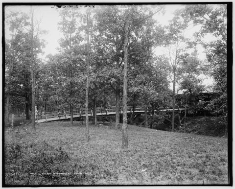 Picnic grounds at Lemont, Ill's