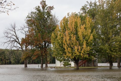 Water is high in a channel of the Mississippi River