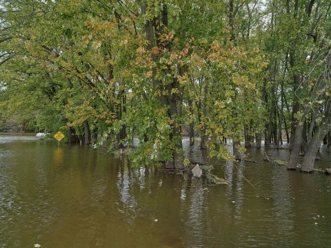Very high water from the nearby Mississippi River along the Illinois Great River Road