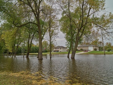 Very high water from the nearby Mississippi River along the Illinois Great River Road
