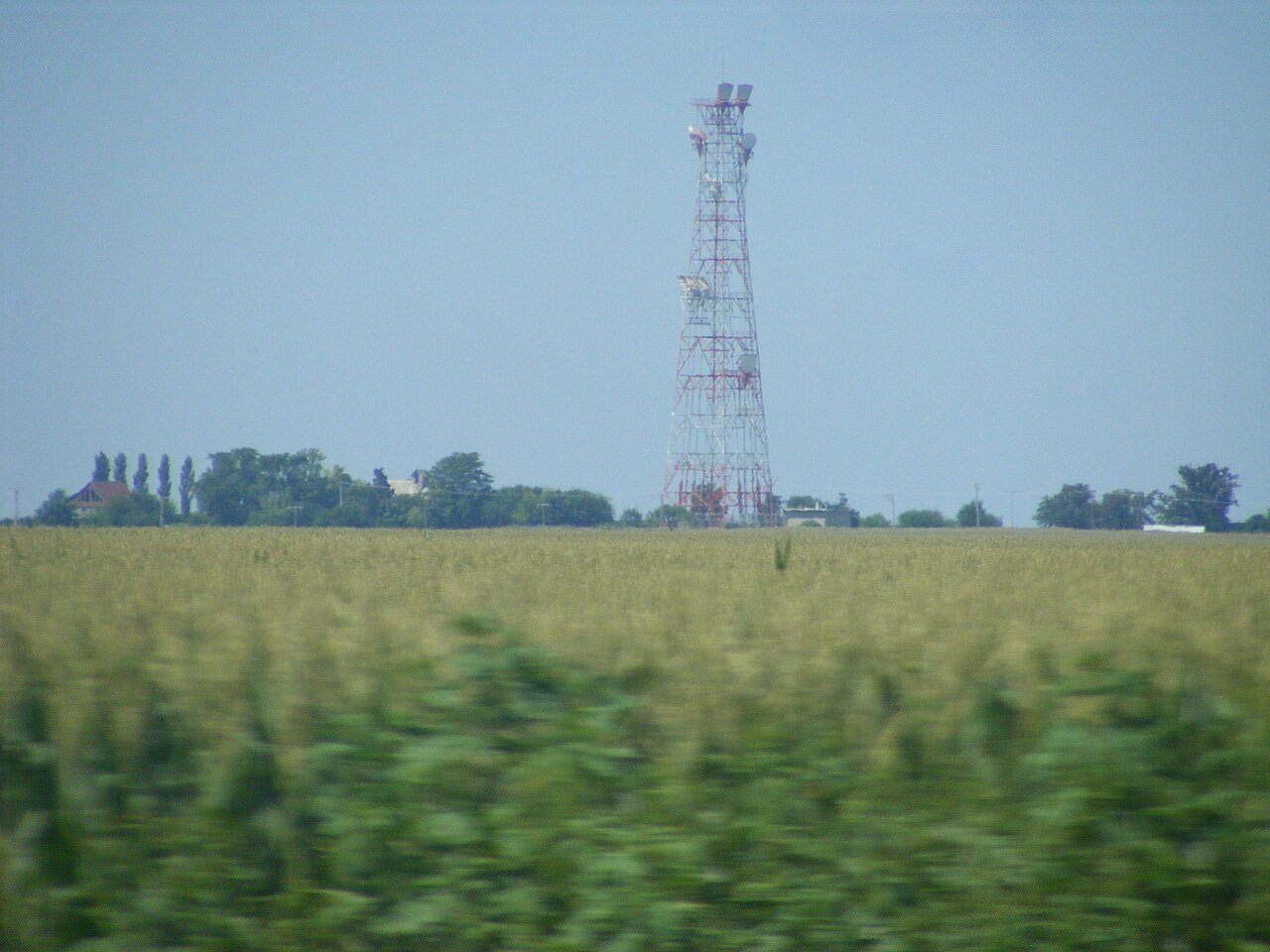 Lostant Microwave Tower